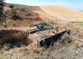 Vista delle montagne - Rustico strada Malledra la farnesiana, Tarquinia - foto 1