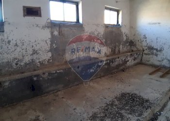 Dettagli - Rustico strada Malledra la farnesiana, Tarquinia - foto 24