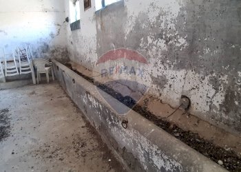 Dettagli - Rustico strada Malledra la farnesiana, Tarquinia - foto 25