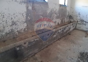 Dettagli - Rustico strada Malledra la farnesiana, Tarquinia - foto 28