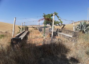 Vista delle montagne - Rustico strada Malledra la farnesiana, Tarquinia - foto 29