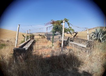 Edificio all\'aperto - Rustico strada Malledra la farnesiana, Tarquinia - foto 30