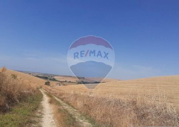 Vista delle montagne - Rustico strada Malledra la farnesiana, Tarquinia - foto 34