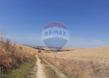 Vista delle montagne - Rustico strada Malledra la farnesiana, Tarquinia - foto 35