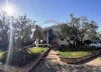 viali d\'ingresso - Casa semi indipendente via di monteroni, Ladispoli - foto 2