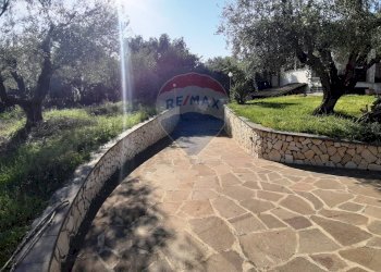 Giardino - Casa semi indipendente via di monteroni, Ladispoli - foto 12