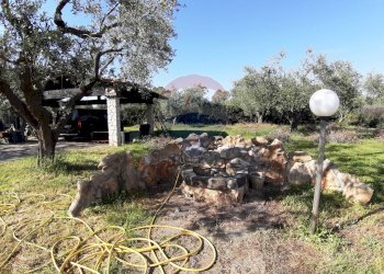 Giardino - Casa semi indipendente via di monteroni, Ladispoli - foto 13