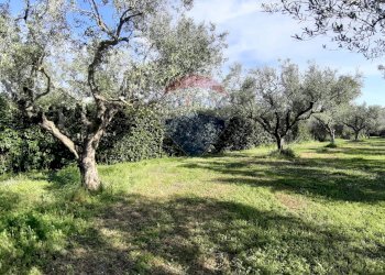 Giardino - Casa semi indipendente via di monteroni, Ladispoli - foto 14