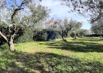 Giardino - Casa semi indipendente via di monteroni, Ladispoli - foto 15