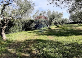 Giardino - Casa semi indipendente via di monteroni, Ladispoli - foto 16