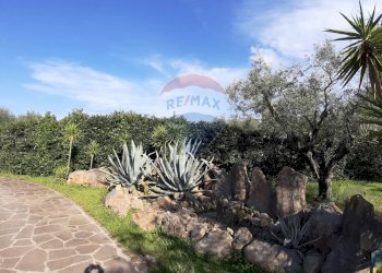 Giardino - Casa semi indipendente via di monteroni, Ladispoli - foto 19