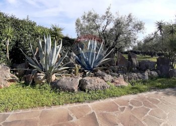 Giardino - Casa semi indipendente via di monteroni, Ladispoli - foto 20