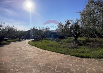 Giardino - Casa semi indipendente via di monteroni, Ladispoli - foto 21