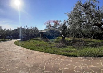 Giardino - Casa semi indipendente via di monteroni, Ladispoli - foto 22