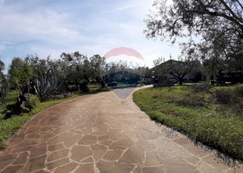 Giardino - Casa semi indipendente via di monteroni, Ladispoli - foto 23