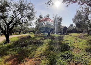 Giardino - Casa semi indipendente via di monteroni, Ladispoli - foto 24