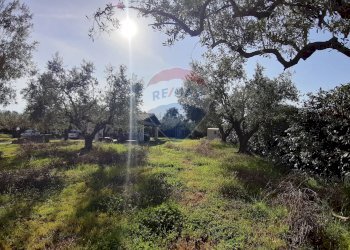 Giardino - Casa semi indipendente via di monteroni, Ladispoli - foto 25