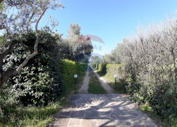 Giardino - Casa semi indipendente via di monteroni, Ladispoli - foto 28