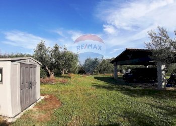 Giardino - Casa semi indipendente via di monteroni, Ladispoli - foto 29