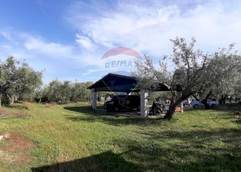 Giardino - Casa semi indipendente via di monteroni, Ladispoli - foto 30