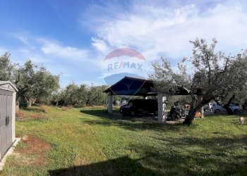 Giardino - Casa semi indipendente via di monteroni, Ladispoli - foto 31