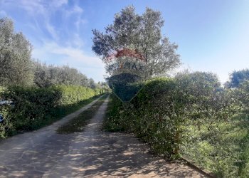 viale - Casa semi indipendente via di monteroni, Ladispoli - foto 93