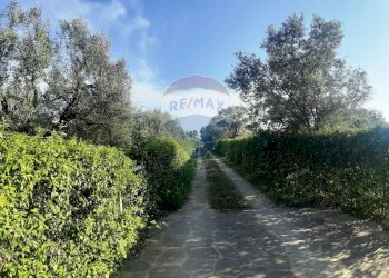 Giardino - Casa semi indipendente via di monteroni, Ladispoli - foto 94