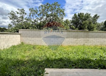 Giardino - Villa Ladispoli - foto 57