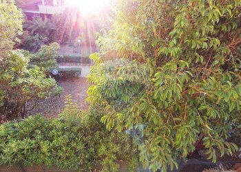 vista - Quadrilocale via La Spezia, Ladispoli - foto 13