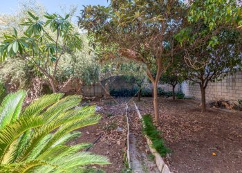 Giardino - Terreno edificabile Via Giovan Battista Pergolesi
13, Pozzallo - foto 4