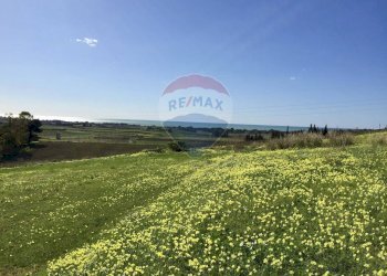 Giardino - Terreno edificabile VIA DEI MIRTILLI
 
sic, Menfi - foto 7