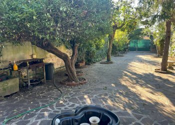 Foto 4 - Casa indipendente Lungarno Gabriele D'annunzio
 
1, Pisa - foto 4