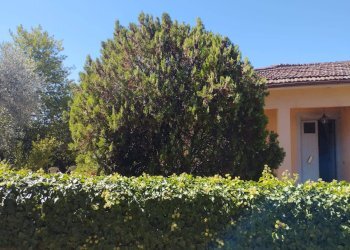 Foto 1 - Casa indipendente Via Mazzana, Montopoli in Val d'Arno - foto 1