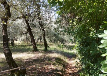 Foto 6 - Casa indipendente Via Mazzana, Montopoli in Val d'Arno - foto 6