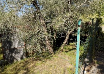 Foto 10 - Casa indipendente Via Mazzana, Montopoli in Val d'Arno - foto 10