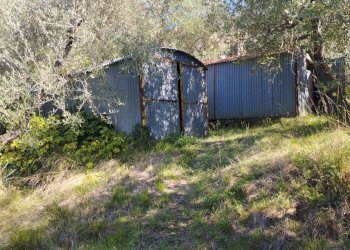 Foto 18 - Casa indipendente Via Mazzana, Montopoli in Val d'Arno - foto 18