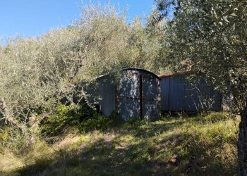 Foto 20 - Casa indipendente Via Mazzana, Montopoli in Val d'Arno - foto 20