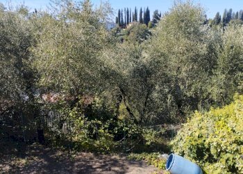 Foto 40 - Casa indipendente Via Mazzana, Montopoli in Val d'Arno - foto 40