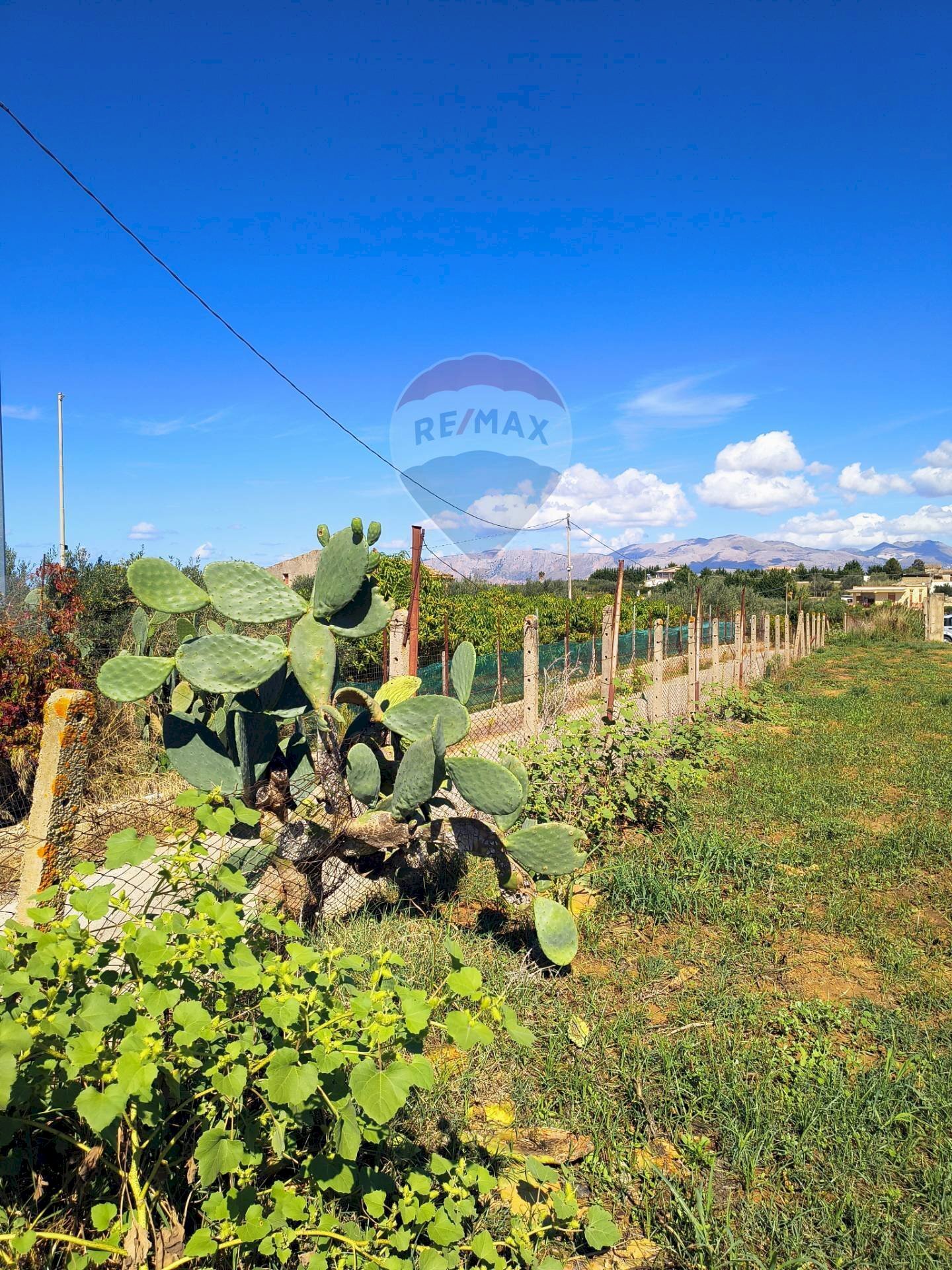 Giardino - Agricultural land Contrada Piano Rocca, Partinico - photo 2