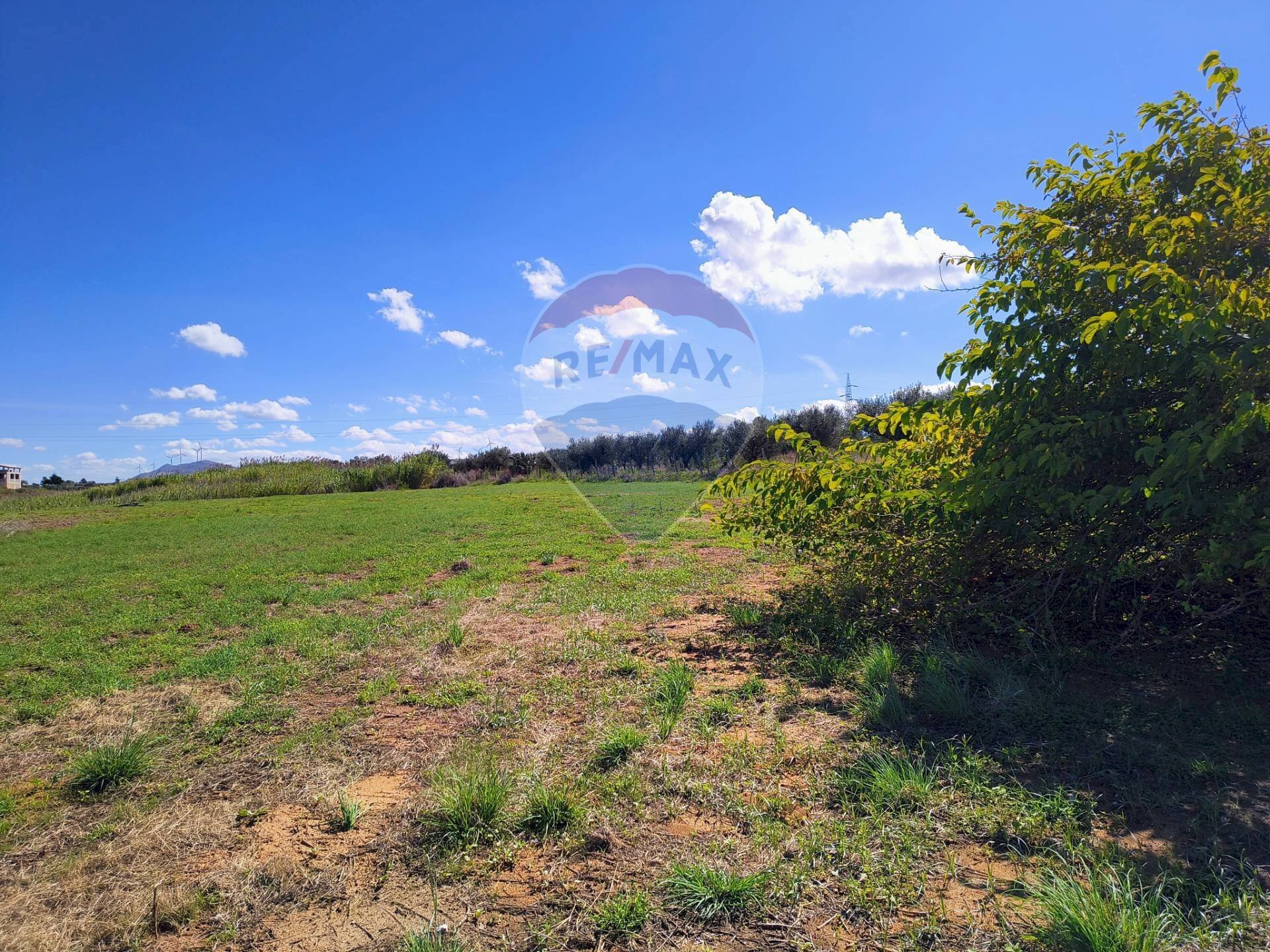 Giardino - Agricultural land Contrada Piano Rocca, Partinico - photo 3