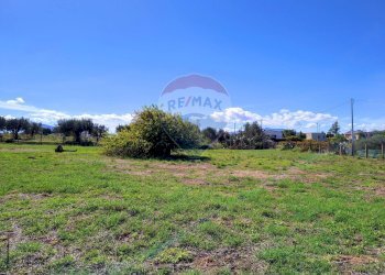 Giardino - Terreno agricolo Contrada Piano Rocca, Partinico - foto 18