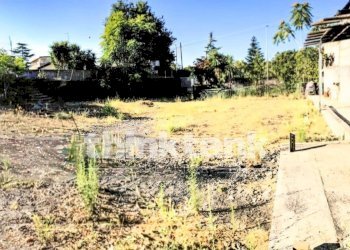 Foto 6 - Terreno edificabile Via Donatello, Mascalucia - foto 6