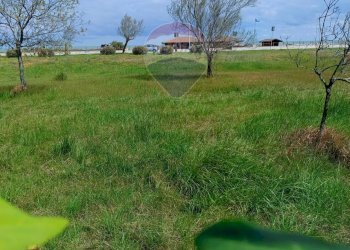 Giardino - Appartamento Via Strada Statale 16 Complesso Le Nereidi, San Salvo - foto 39