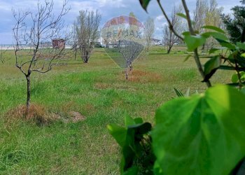 Giardino - Appartamento Via Strada Statale 16 Complesso Le Nereidi, San Salvo - foto 40