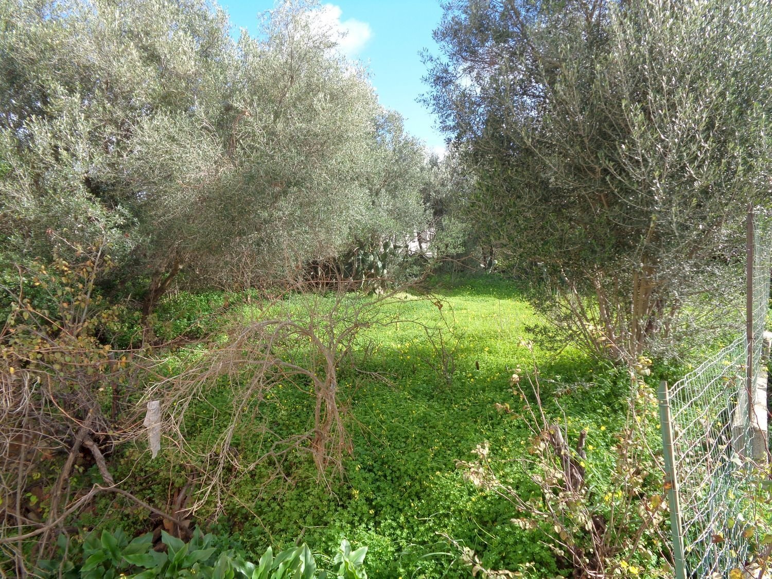 giardino - Appartamento Sarrabus
 
17, Carbonia - foto 3