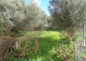 giardino - Appartamento Sarrabus
 
17, Carbonia - foto 3