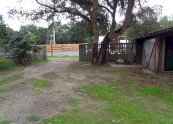 giardino - Appartamento Sirai
 
63, Carbonia - foto 19