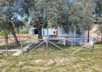 giardino - Agricultural land Medadeddu, Carbonia - photo 4