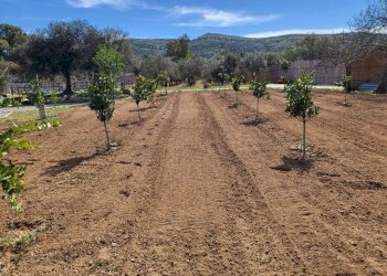 Foto 10 - Agricultural land Medadeddu, Carbonia - photo 10