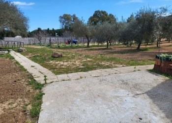 giardino - Agricultural land Medadeddu, Carbonia - photo 11